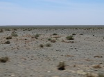 36703CIMG0472.JPG