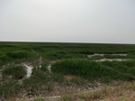 53780CIMG0246.JPG