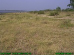 1226R0015062_tag.jpg