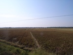 442120071010gps 108.jpg