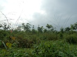 20370P1020227.JPG