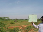 9326gt041b-rainfed-mixed-crops.gif