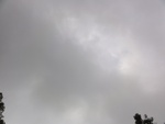 50271DSC02073.JPG
