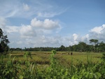 15968IMG_4519.JPG