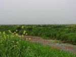 51756CIMG0186.JPG