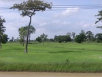 33444RIMG0184.JPG