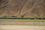 27468DSC_7425.JPG
