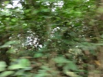 46595CIMG0884.JPG