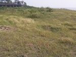 517R0015063.jpg
