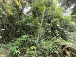 46809DSC02147.JPG
