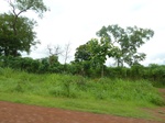 20970P1020838.JPG