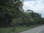 33527IMG_5777.JPG