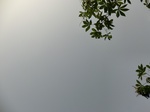 50295CIMG0924.JPG