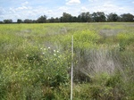 43732NSW005_L5.jpg