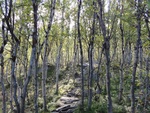 43100DSC00339.JPG