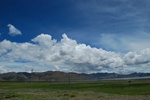 27575DSC_9507.JPG