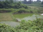 854R0015389_small.jpg