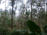 52897CIMG4987_调整大小.JPG