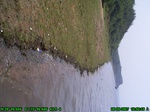1584R0015241_tag.jpg
