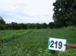 71250219a-rainfed-agriculture-soyabean.jpg