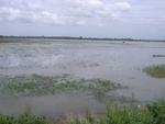 33436RIMG0176.JPG