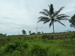 54980Berau (281).JPG