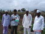 126130167d-irrigated-supplemental-groundwater-grape-garden-dominant-soyabean-millet.gif