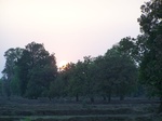 17478100_2167.JPG