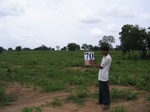 1056470-cropland-proposed-cleared-6months-back-b.gif