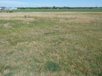 29225KIN220110412E.JPG