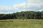 2024-09-24_16-24-15_C01E8187-0BBE-4035-98F4-1649DC58BE7B.jpeg