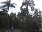 14863IMG_5256.JPG