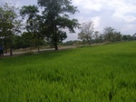 21421RIMG0273.JPG
