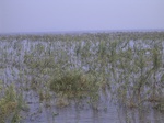 630R0015138.jpg