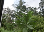 49833CIMG6170.JPG