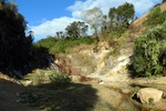 28737P1010764-1.JPG