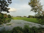 21746DSC00292.JPG