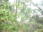 48291CIMG4628.JPG