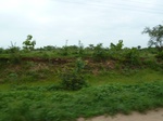 18718P1000556.JPG