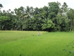 24609DSC00828.JPG