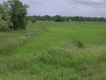 34557RIMG0022.JPG