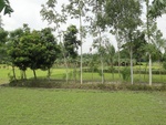 21687DSC00224.JPG