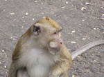 14531IMG_4892.JPG