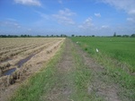 26220RIMG0187.JPG