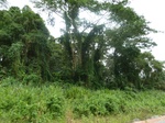 20073P1010924.JPG