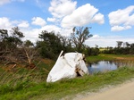 39831DSC01140.JPG