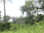 49384CIMG5721.JPG