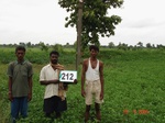 127620212b-rainfed-agriculture-mixedcrop-soyabean-dominant-gram.gif
