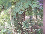 1774924042008(10).JPG