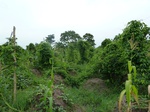 18380P1000216.JPG